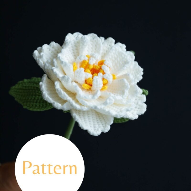 Blush Peony #4